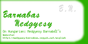 barnabas medgyesy business card